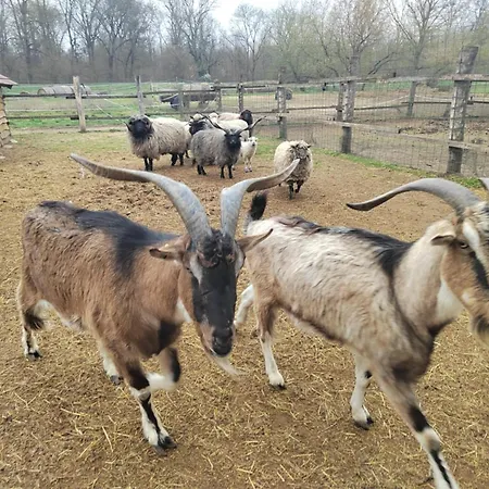 Atmoszfera Apartament