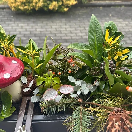 Atmoszfera Apartment *