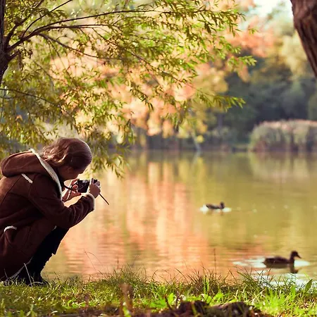 Atmoszfera * Sárvár