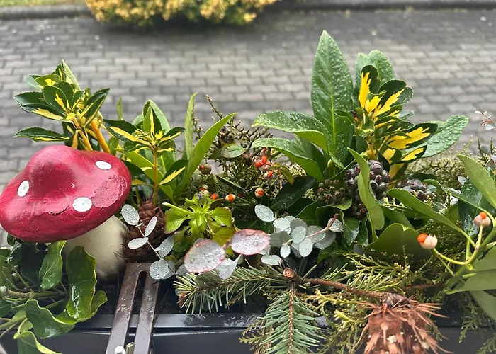 Atmoszfera Apartment *